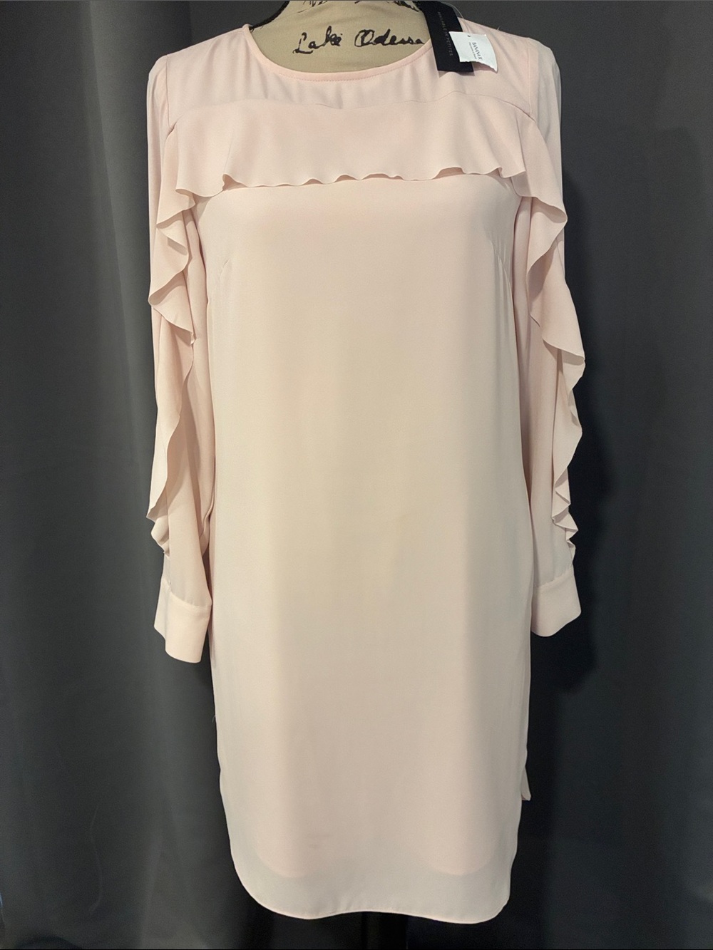 Banana Republic Pale Blush Ruffle-Trim Long Sleeve Dress